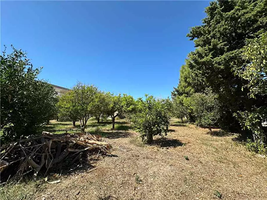 Immagine 6 di Terreno in vendita  in Via Elsa Morante, 94 a Avola