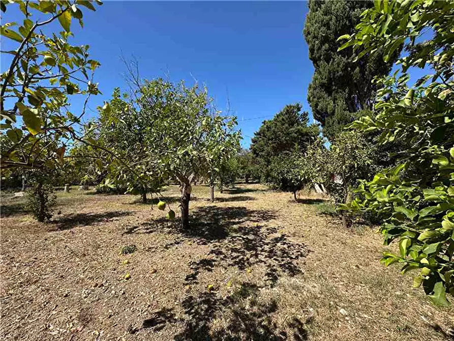 Immagine 7 di Terreno in vendita  in Via Elsa Morante, 94 a Avola
