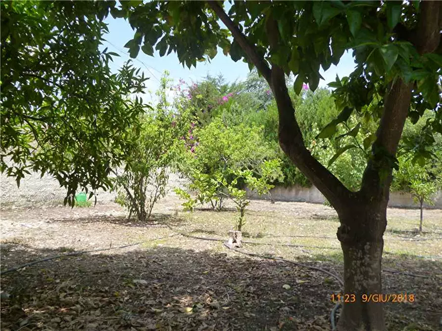Immagine 7 di Villa in vendita  in Via DEI COSMONAUTI, 27 a Siracusa