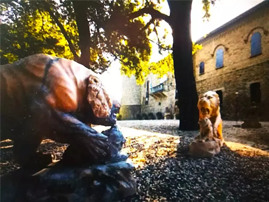 Immagine 5 di Castello in vendita  in Via Del Proconsolo, 10 a Pontassieve