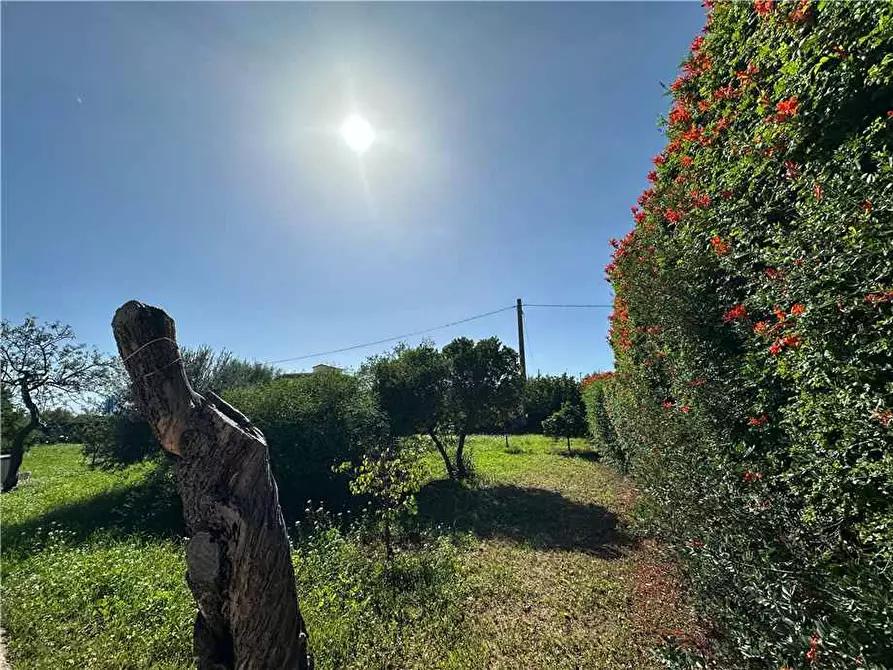 Immagine 15 di Villa in vendita  in Loc. Contrada Guardiola, sn a Noto