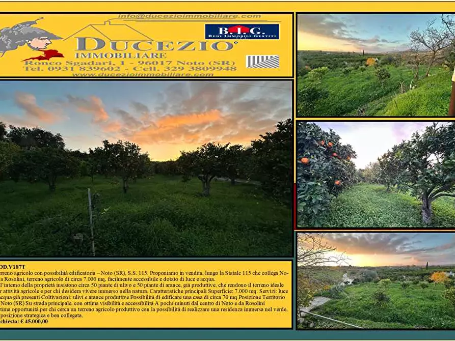 Immagine 1 di Terreno in vendita  in Loc. Contrada Cocca, s.n. a Noto