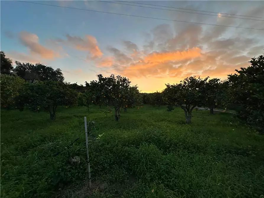 Immagine 2 di Terreno in vendita  in Loc. Contrada Cocca, s.n. a Noto