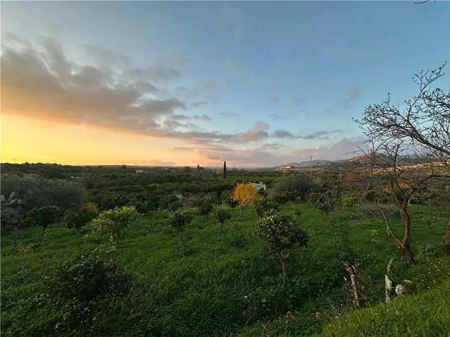 Immagine 3 di Terreno in vendita  in Loc. Contrada Cocca, s.n. a Noto