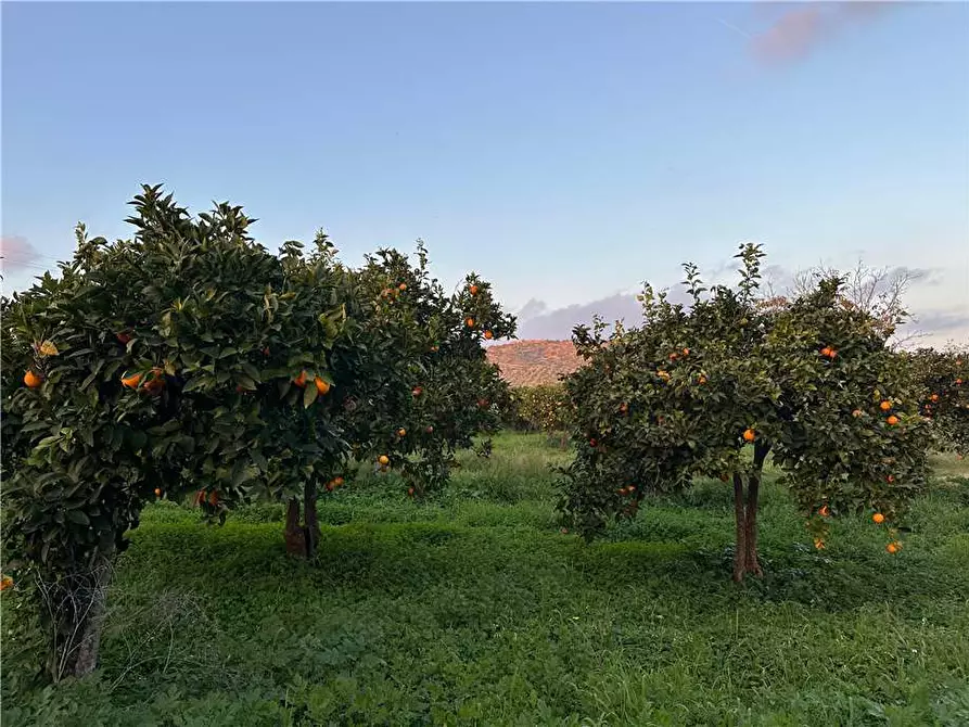 Immagine 4 di Terreno in vendita  in Loc. Contrada Cocca, s.n. a Noto