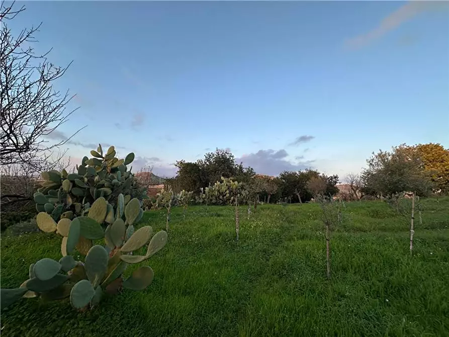 Immagine 5 di Terreno in vendita  in Loc. Contrada Cocca, s.n. a Noto