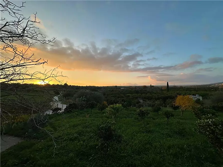 Immagine 7 di Terreno in vendita  in Loc. Contrada Cocca, s.n. a Noto
