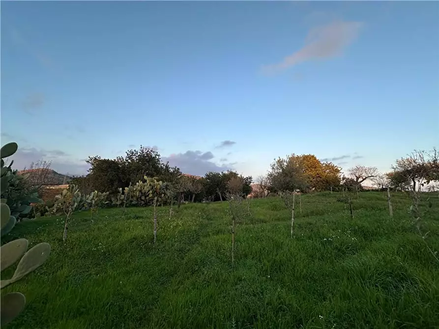 Immagine 9 di Terreno in vendita  in Loc. Contrada Cocca, s.n. a Noto