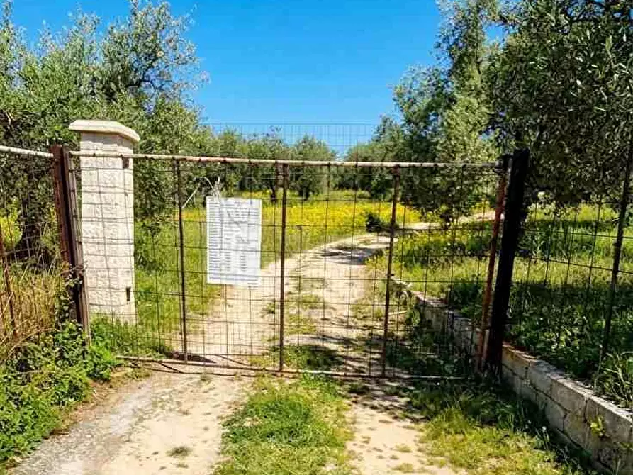 Immagine 3 di Terreno in vendita  a Noto
