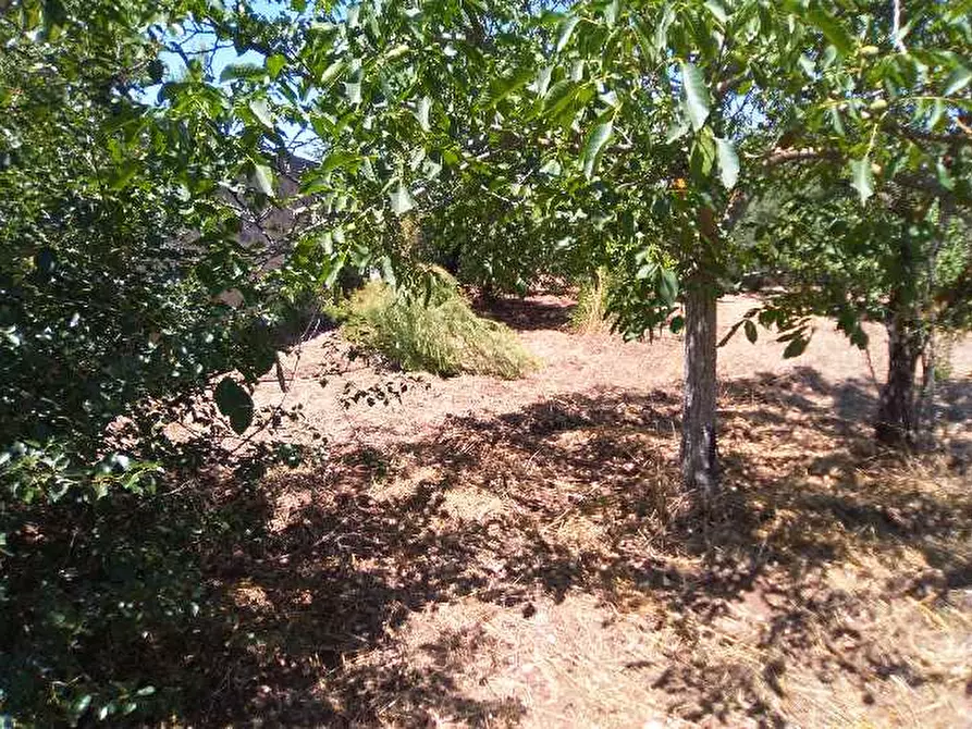 Immagine 2 di Terreno in vendita  in Via S.P. 74 CAPURSO VALENZANO a Valenzano