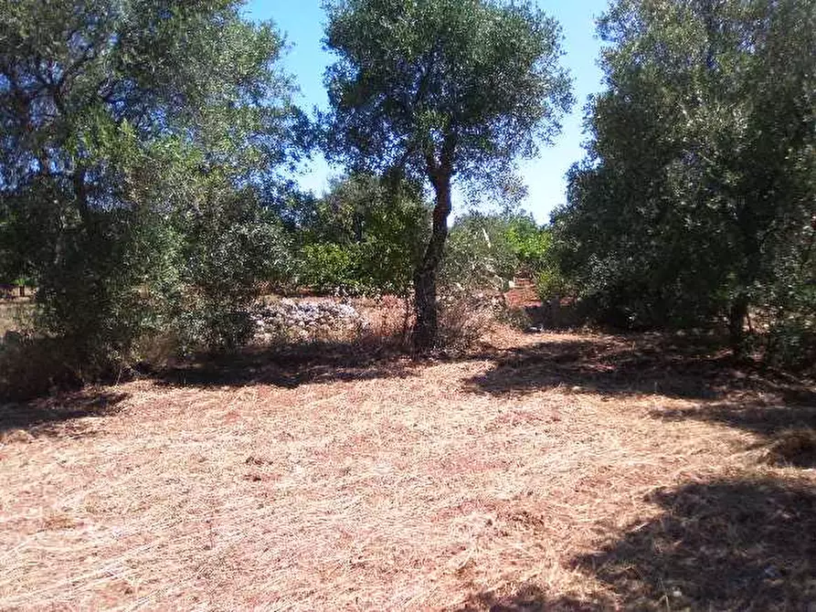 Immagine 4 di Terreno in vendita  in Via S.P. 74 CAPURSO VALENZANO a Valenzano