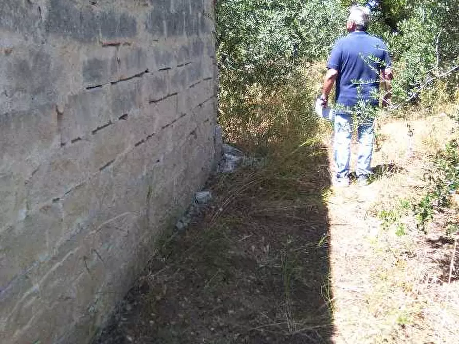 Immagine 5 di Terreno in vendita  in Via S.P. 74 CAPURSO VALENZANO a Valenzano