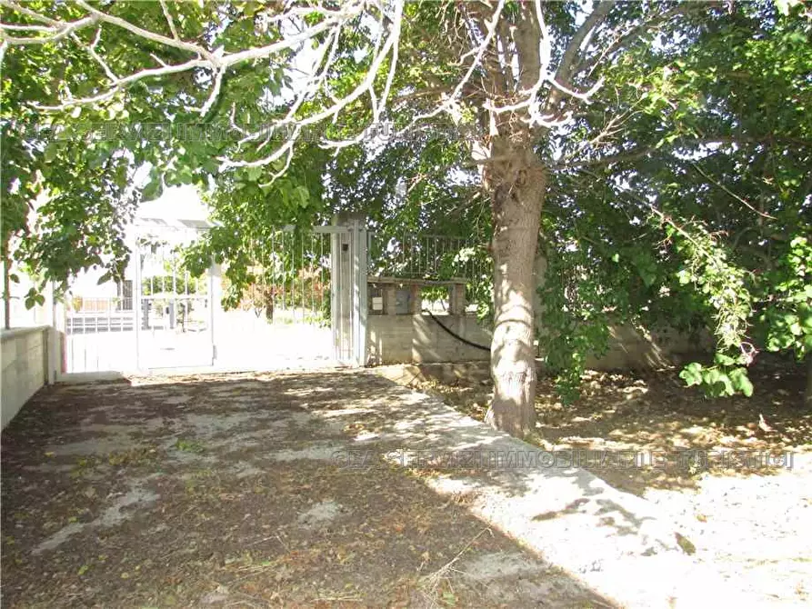 Immagine 10 di Villa in vendita  a Pisticci