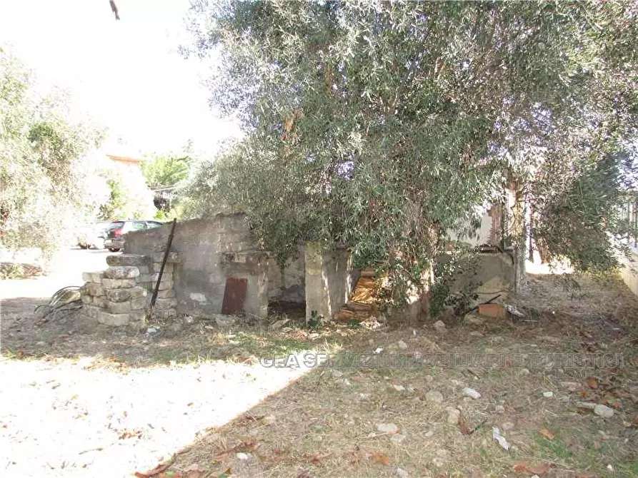 Immagine 11 di Villa in vendita  a Pisticci