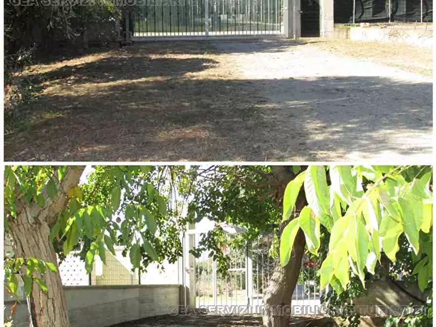 Immagine 6 di Villa in vendita  a Pisticci