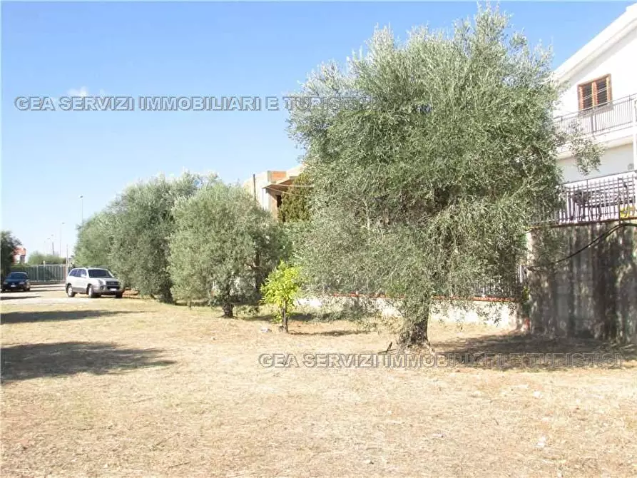 Immagine 7 di Villa in vendita  a Pisticci