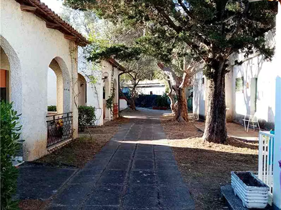 Immagine 10 di Villa in vendita  a Diamante