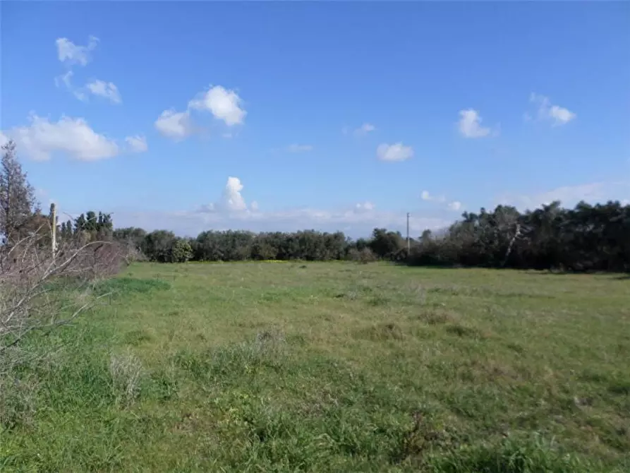 Immagine 2 di Terreno in vendita  in Via Canadesus a Assemini