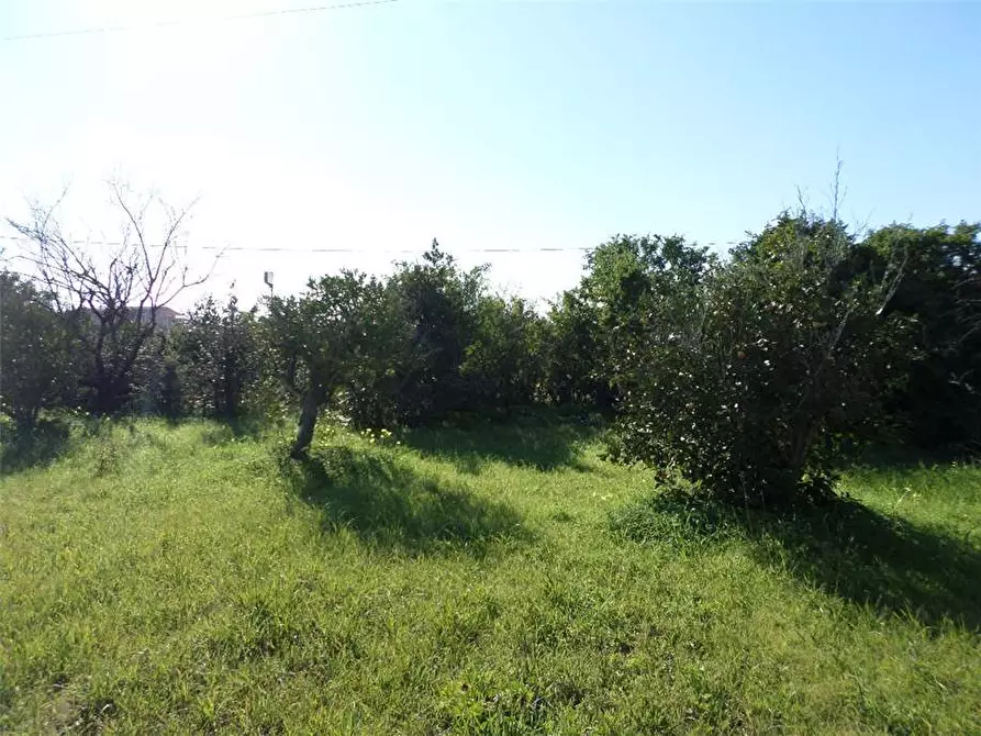 Immagine 5 di Terreno in vendita  in Via Canadesus a Assemini