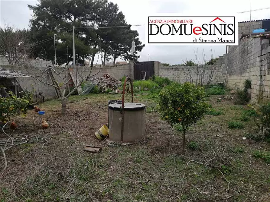 Immagine 2 di Terreno in vendita  a Riola Sardo