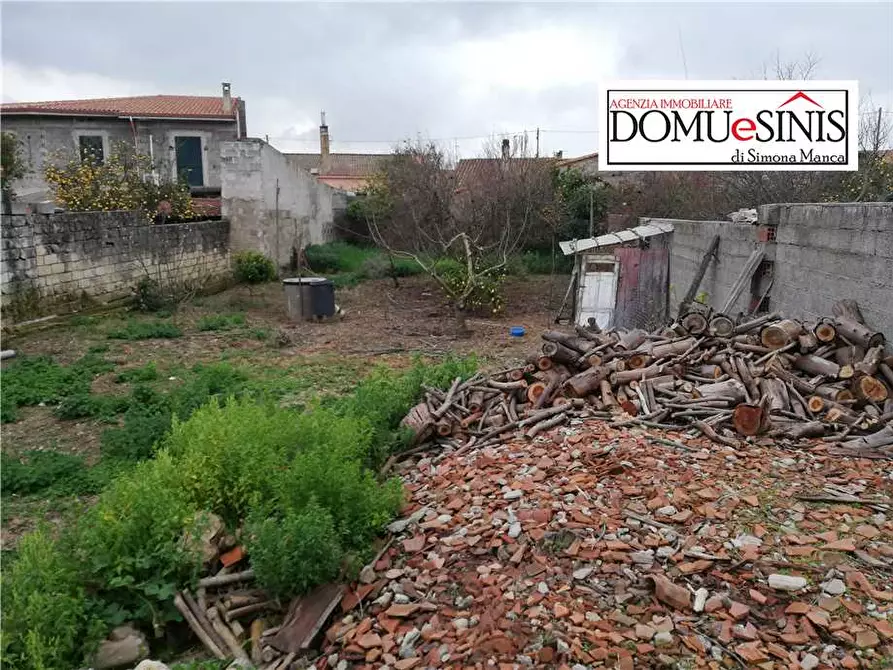 Immagine 3 di Terreno in vendita  a Riola Sardo