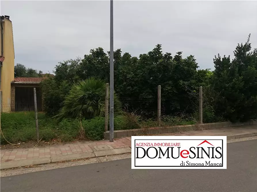 Immagine 13 di Villa in vendita  a Nurachi