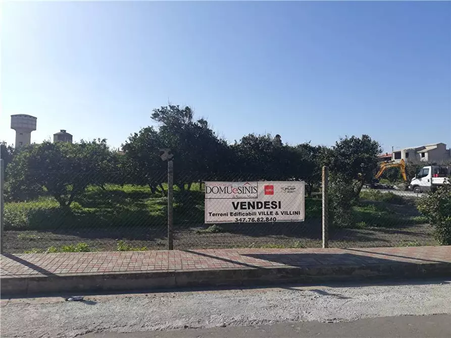 Immagine 5 di Terreno in vendita  a Nurachi