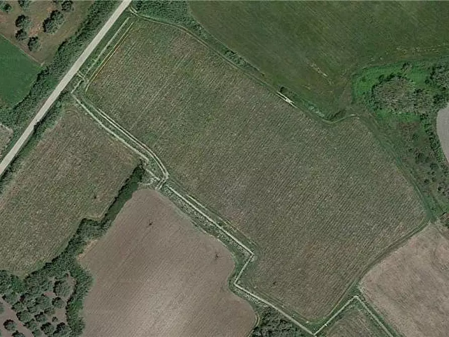Immagine 3 di Terreno in vendita  a Nurachi
