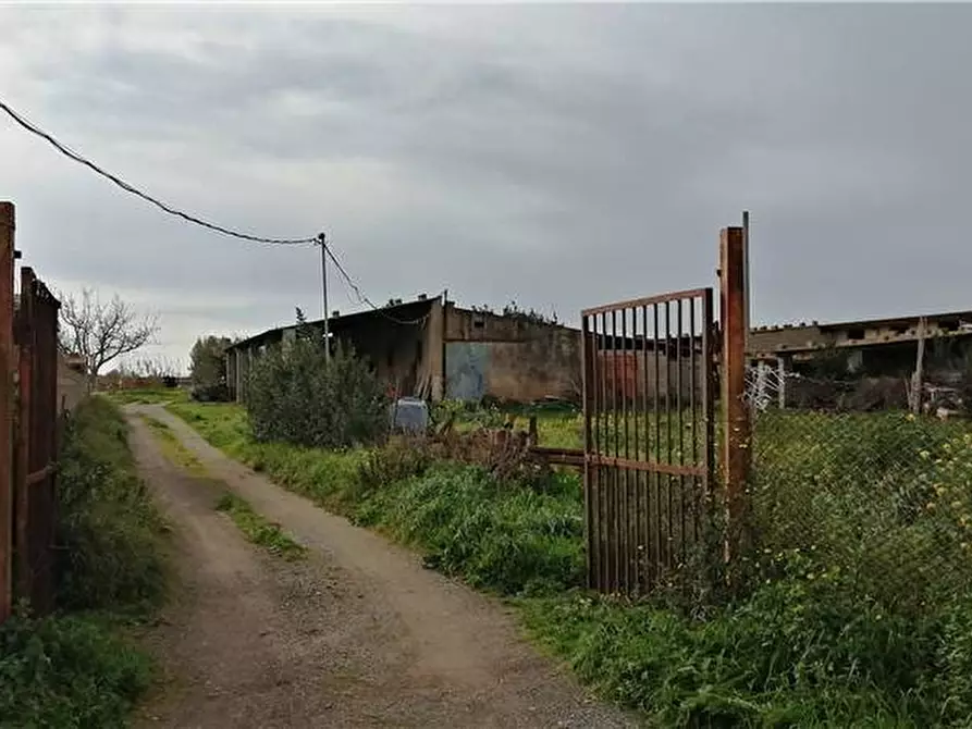 Immagine 3 di Azienda agricola in vendita  a Nurachi