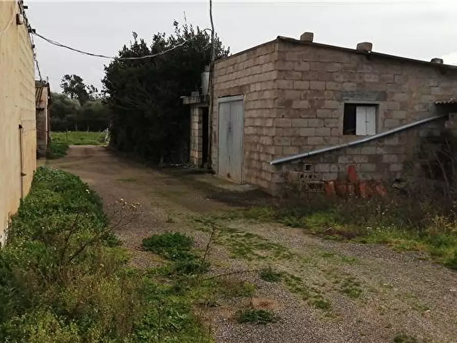 Immagine 5 di Azienda agricola in vendita  a Nurachi
