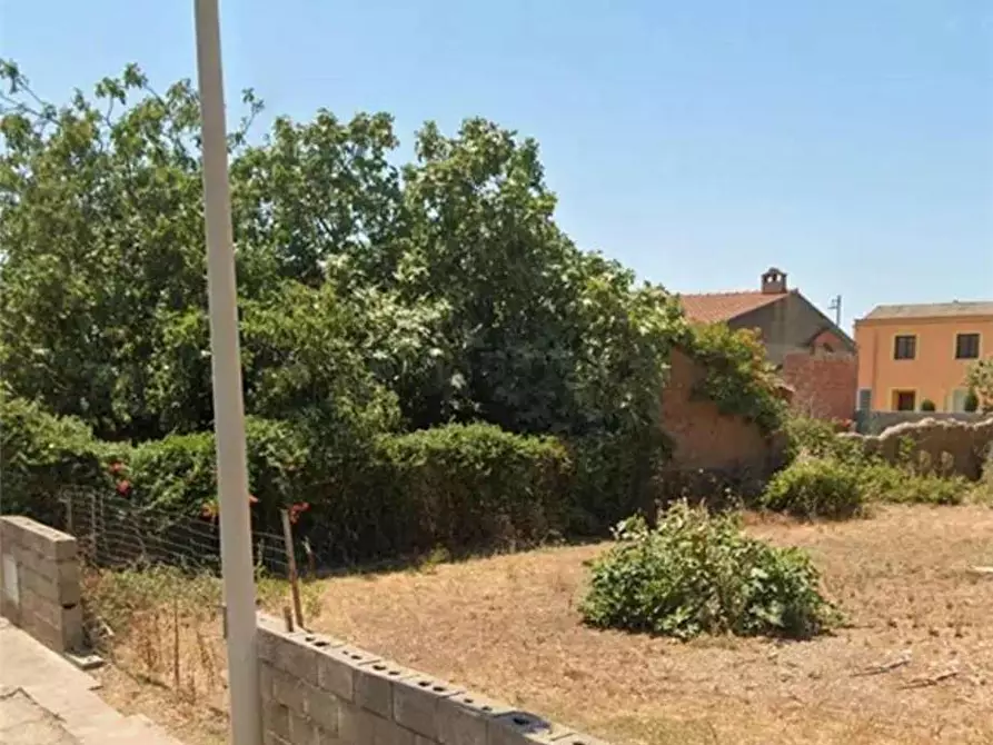 Immagine 4 di Terreno in vendita  a Tramatza