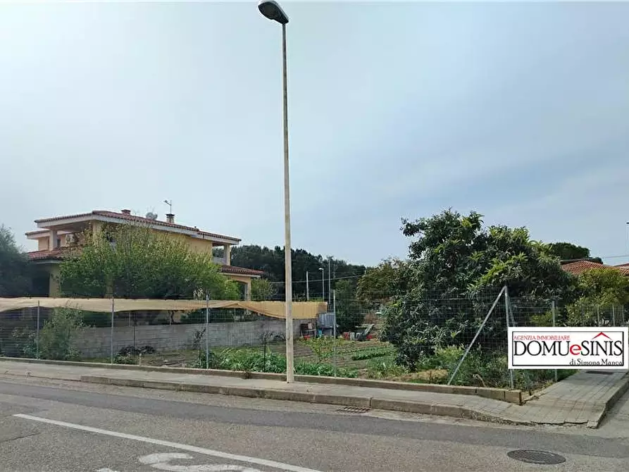 Immagine 3 di Terreno in vendita  a Nurachi