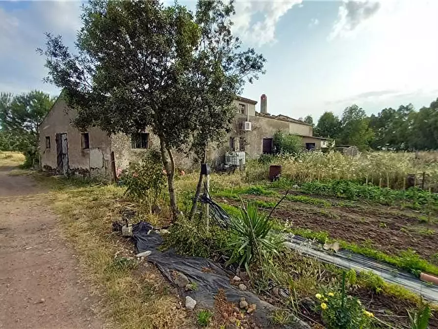 Immagine 3 di Rustico / casale in vendita  a Milis