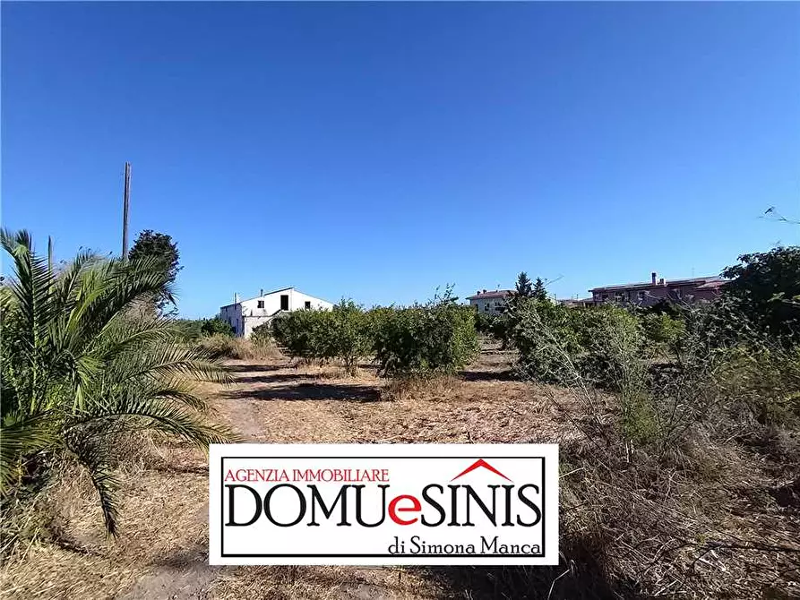 Immagine 5 di Villa in vendita  a Nurachi