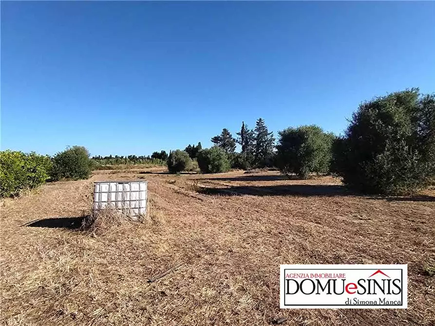 Immagine 6 di Villa in vendita  a Nurachi