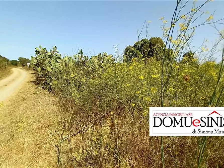 Immagine 4 di Terreno in vendita  a Nurachi