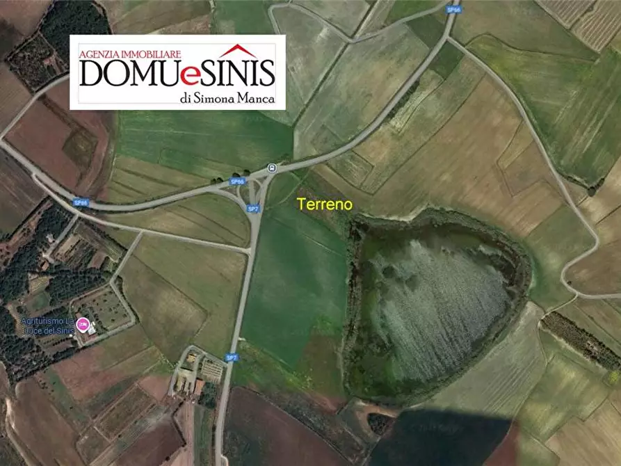 Immagine 2 di Terreno in vendita  a Riola Sardo