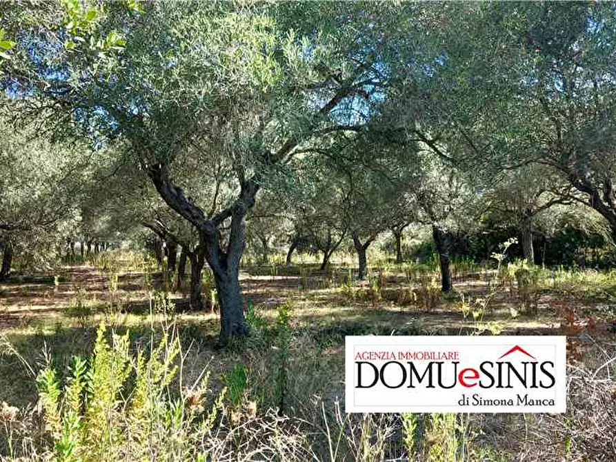 Immagine 1 di Terreno in vendita  a Nurachi