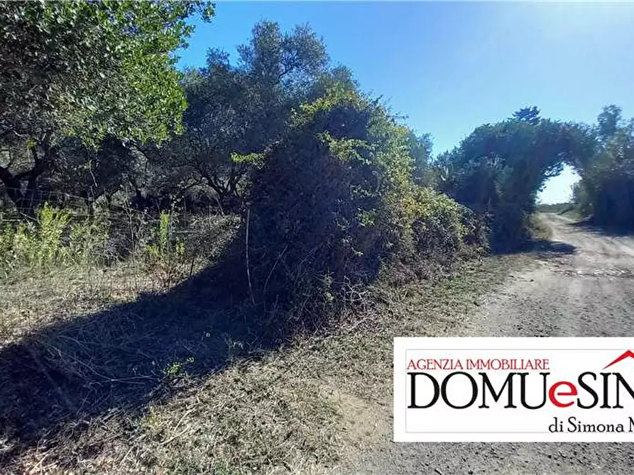 Immagine 3 di Terreno in vendita  a Nurachi
