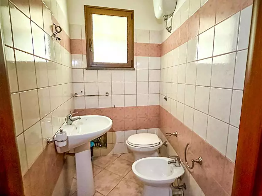 Immagine 4 di Attività commerciale in vendita  a Cabras