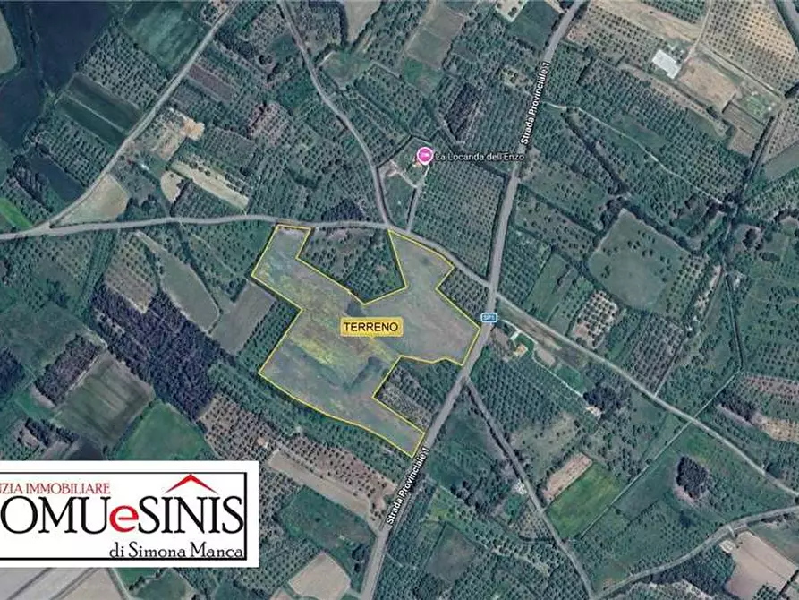 Immagine 5 di Terreno in vendita  a Nurachi
