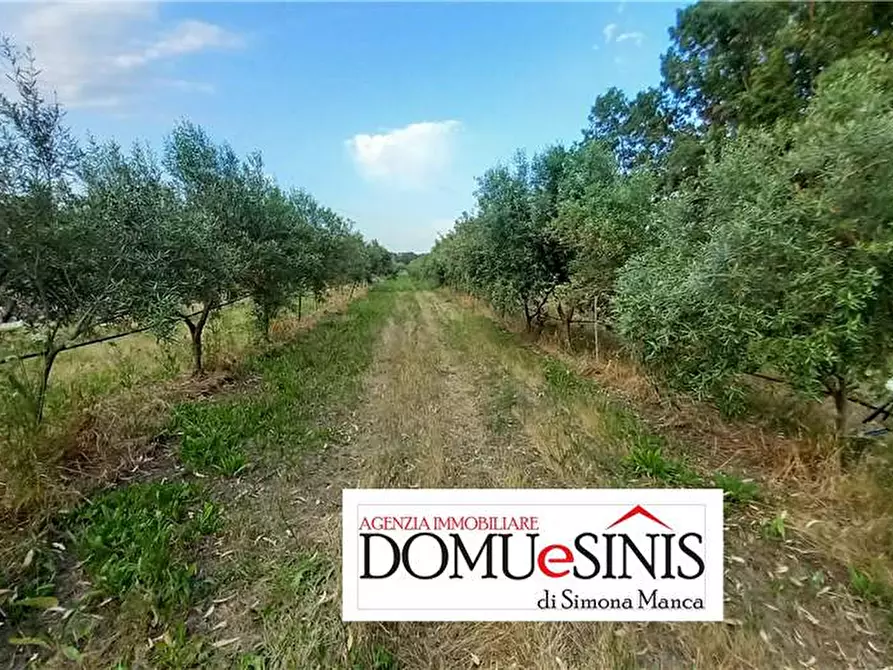 Immagine 1 di Terreno in vendita  a Milis