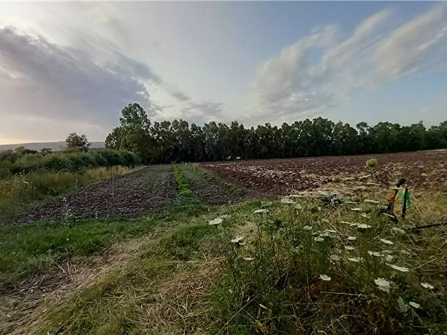 Immagine 10 di Terreno in vendita  a Milis