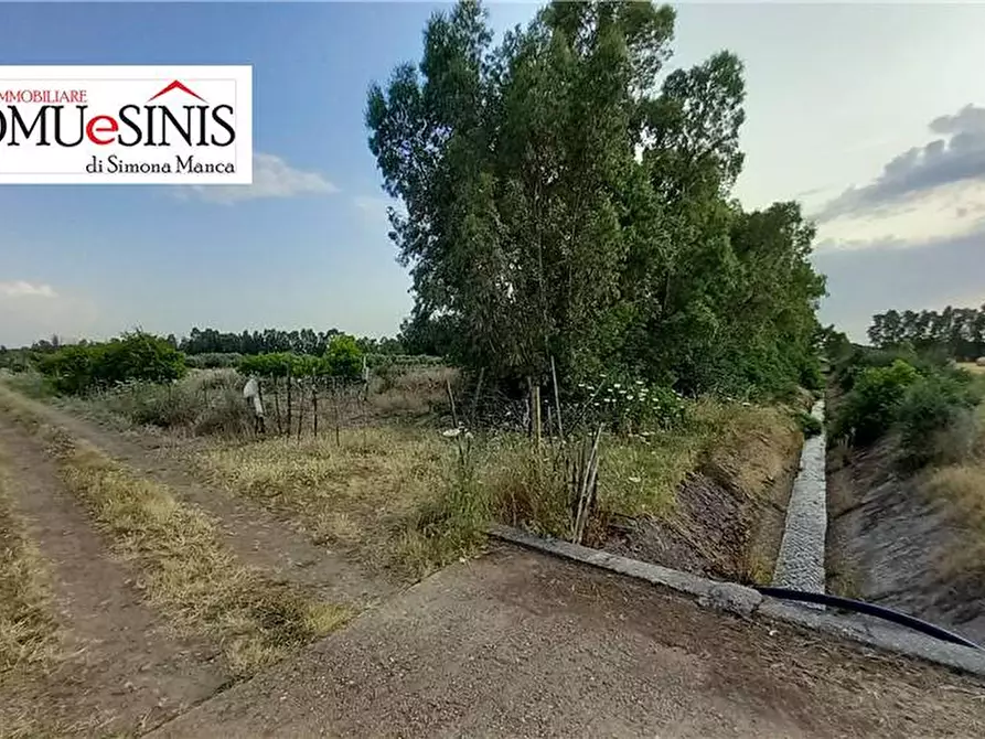 Immagine 2 di Terreno in vendita  a Milis