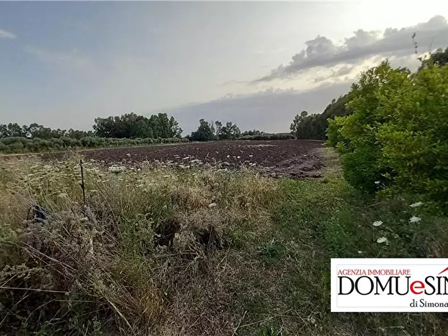 Immagine 3 di Terreno in vendita  a Milis