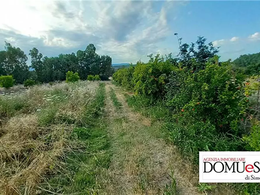 Immagine 4 di Terreno in vendita  a Milis