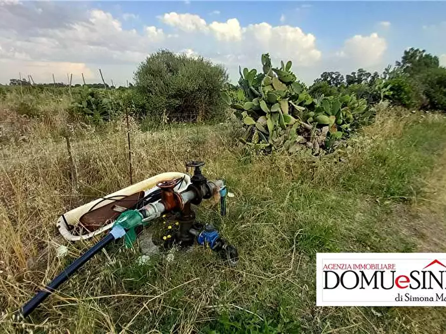 Immagine 5 di Terreno in vendita  a Milis