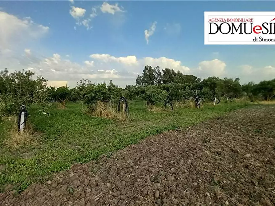Immagine 6 di Terreno in vendita  a Milis