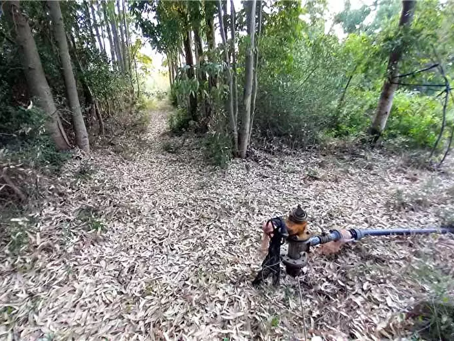 Immagine 9 di Terreno in vendita  a Milis