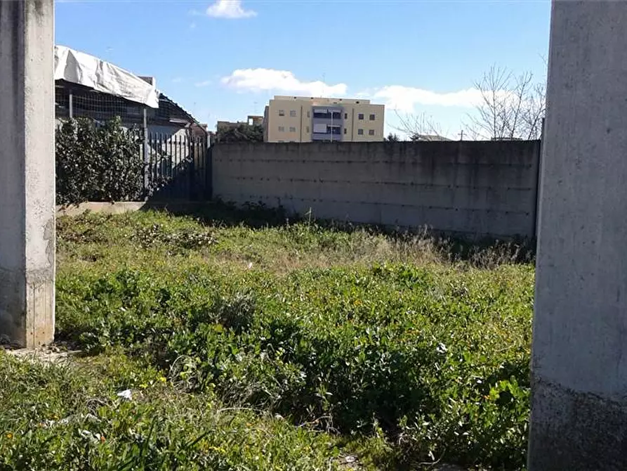Immagine 3 di Attività commerciale in vendita  a Cerignola